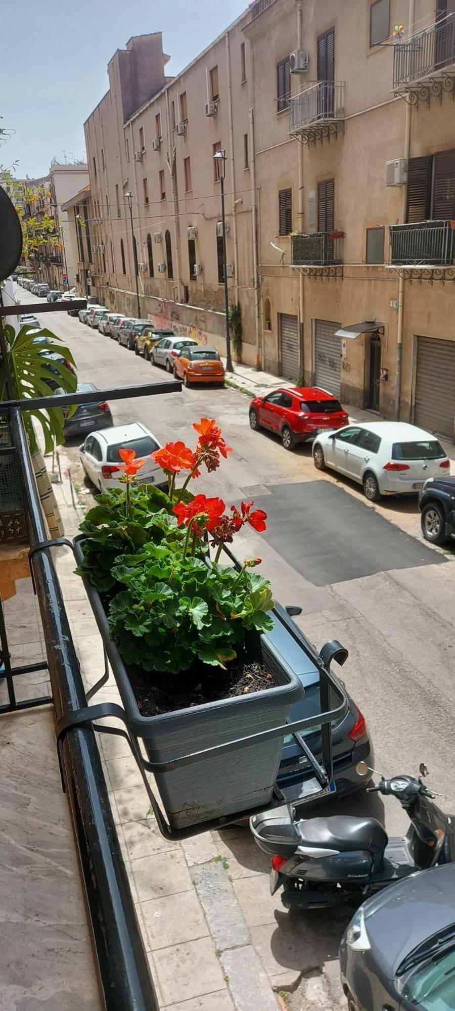 Civico 67